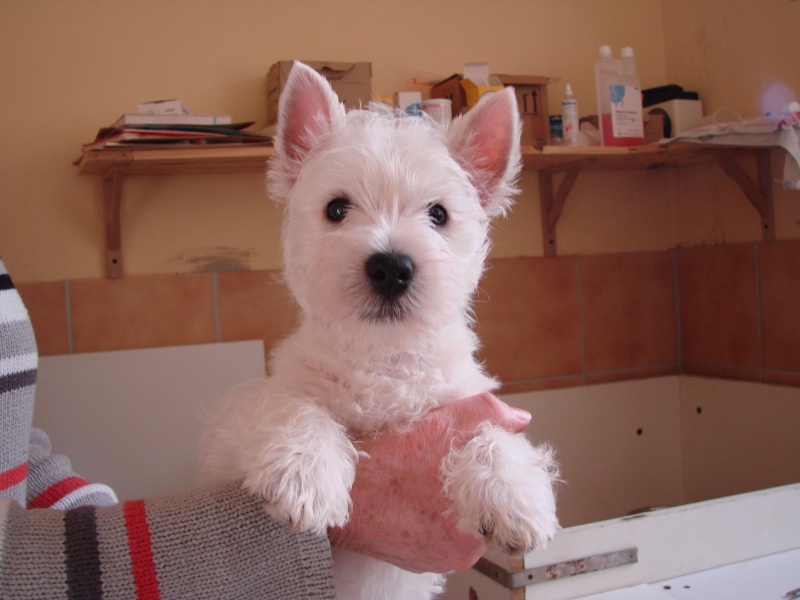 Edgar, fils de Tao et Ulyana