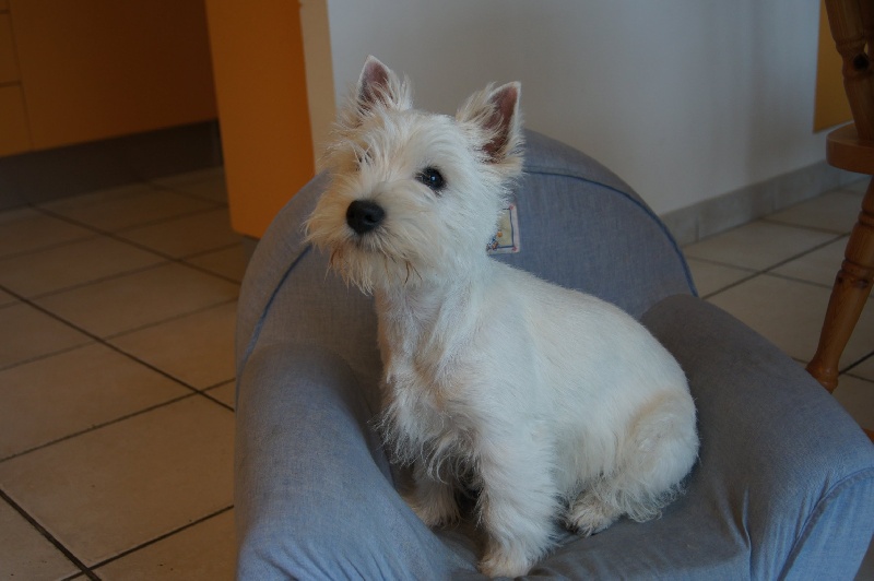 Ecume, bb de Tao et Ulyana
